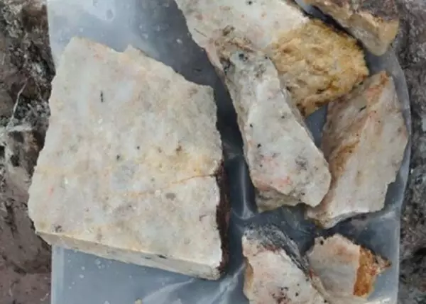 New High-grade Lithium, Caesium, and Tantalum Pegmatite Discoveries in Surface Exploration Works