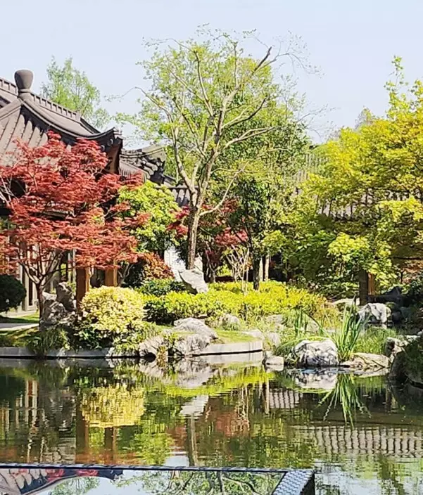 西湖國賓館咖啡室望小池塘，兩旁樹木婆娑，風景絕美。