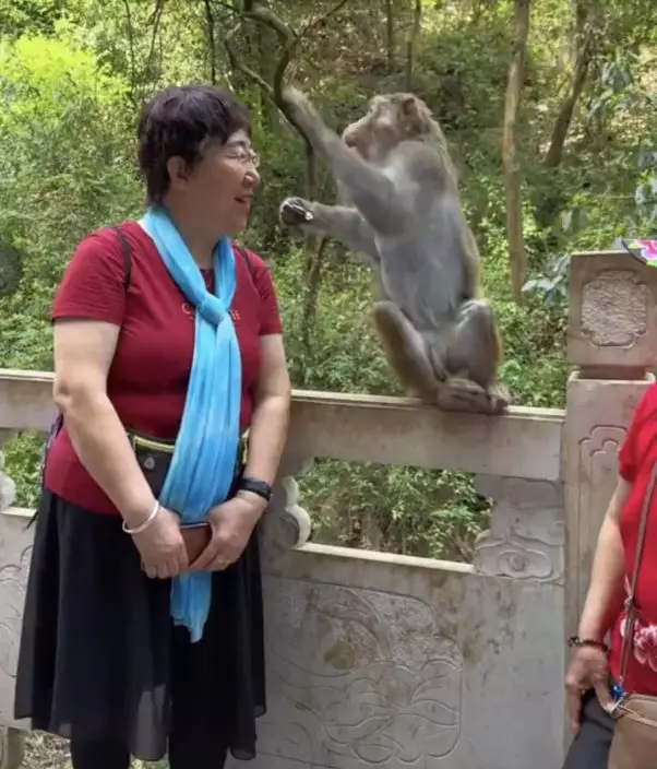 影片截圖