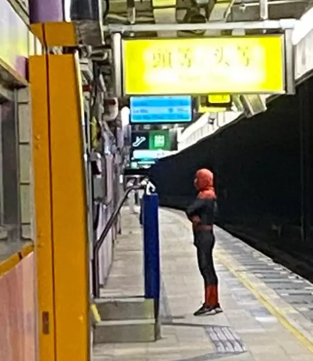 樓主：蜘蛛俠喺大埔站月台出現，個樣有d迷惑 。網上截圖