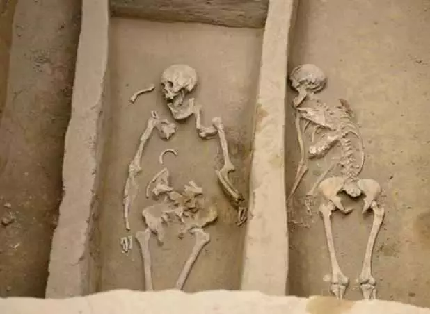 考古人員於陝西寨山遺址發現活人殉葬的墓地。