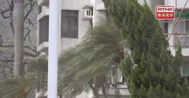 天文台：小犬是一個成熟的颱風，其眼壁正逐漸靠近香港南面海域，本港南部已多處吹烈風。（麥偉康攝）