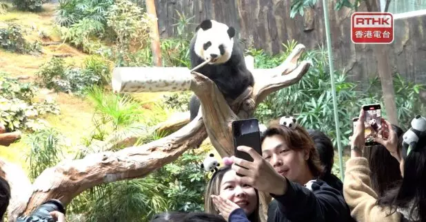 龐建貽表示，周末探望安安可可需要取籌，每個籌限時觀看10分鐘，是基於分流及安全考慮。（陳韋丞攝）