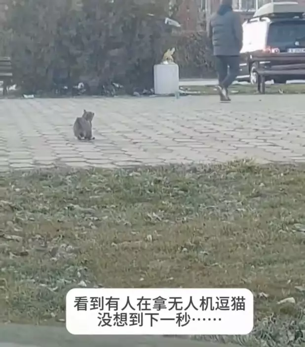 影片截圖
