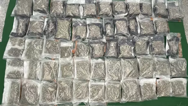 海關在其中2名入境旅客的寄艙行李箱內檢獲約30公斤懷疑大麻花。(政府新聞處)