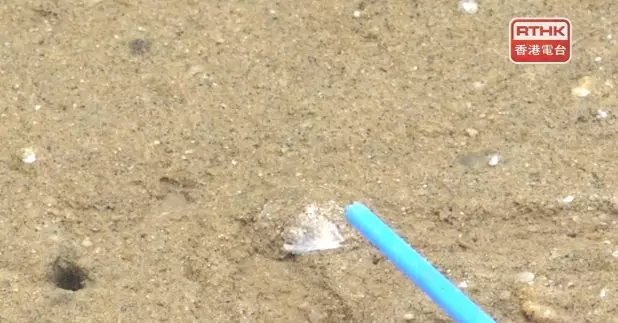 中大和城大與海洋公園保育基金合作，以無人機及人工智能系統，在下白泥泥灘為馬蹄蟹做普查，準確率高達約90%，亦較以往普查所需的人力與時間減少。