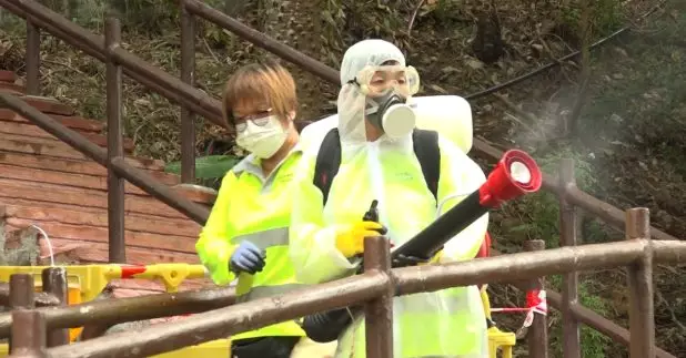 近期有5宗基孔肯雅熱本地個案患者，曾到訪青衣自然徑一帶，該處昨日起暫停開放，食環署人員早上派人前往滅蚊。