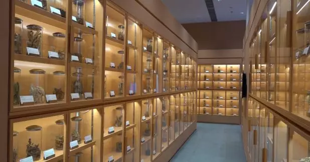 在將軍澳百勝角路的政府中藥檢測中心已分階段投入服務。