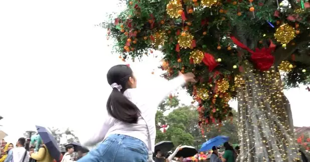 大年初一，不少市民冒雨到大埔林村拋寶牒許願祈福。有巿民祈求身體健康、世界和平。 