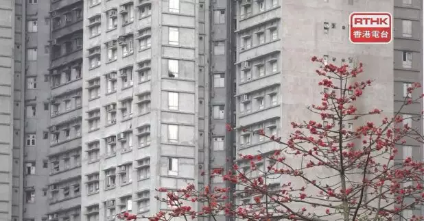 政府公布，大埔宏福苑七座受大火波及樓宇的居民，4月20日至5月4日可分批在指定日子及時段上樓執拾物品，最多逗留三小時。