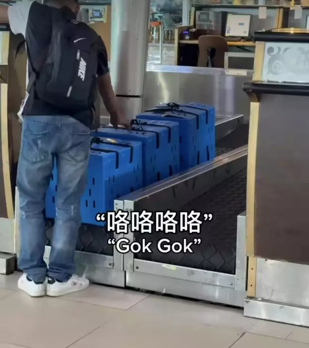 影片截圖