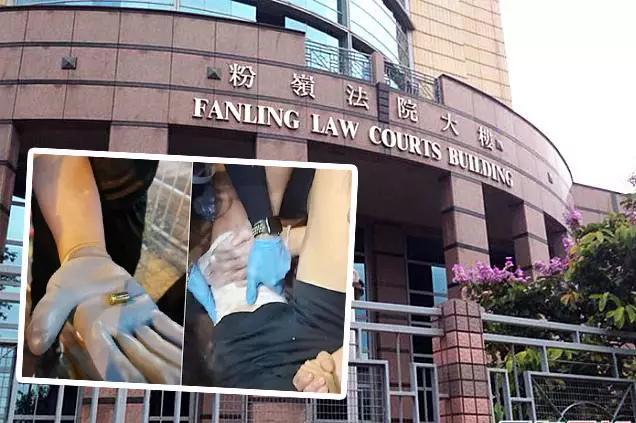 少年今在粉嶺裁判法院的少年法庭承認暴動罪。 資料圖片及張秀賢fb圖