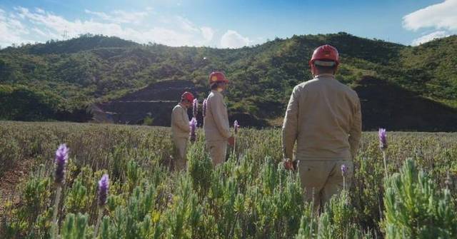 Engineers integrate hydroelectric power plant on the Yangtze into the surrounding environment