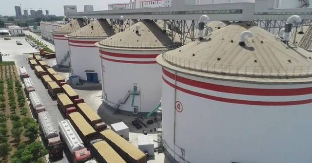 China expected to purchase 200 million tons of grain to stabilize food ...