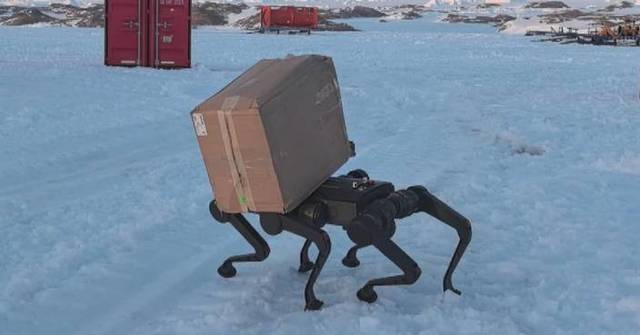 China's six-legged robot dog passes Antarctic tests to facilitate polar research