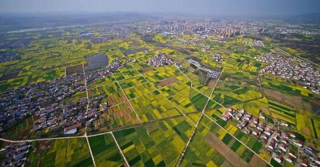 Income gap between urban, rural residents further narrows: official