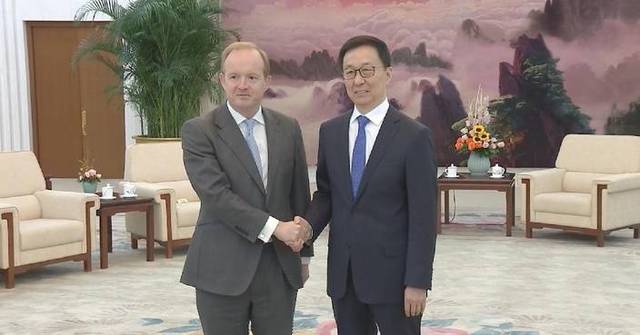 Chinese VP urges greater development of foreign-funded businesses in China