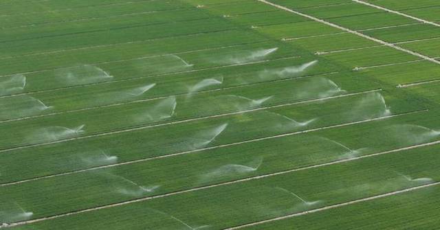 Henan typical of China’s agricultural technology transformation