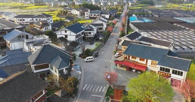 Rural revitalization drive transforms Chinese villages