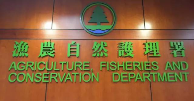 AFCD Urges Hikers to Prioritize Safety on Designated Trails This New ...