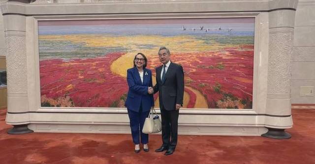 Chinese FM meets UN secretary-general candidate Rebeca Grynspan in Beijing