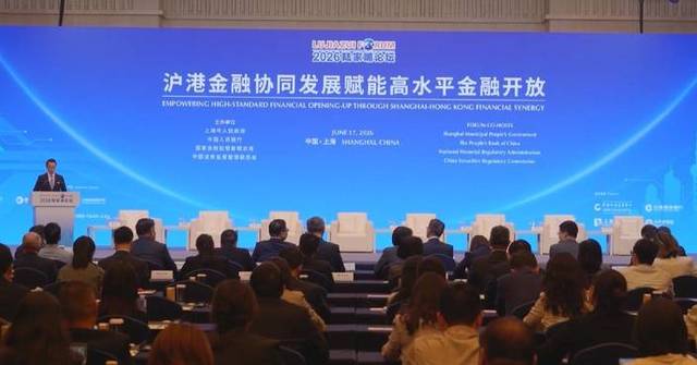 Shanghai-Hong Kong financial synergy helps Chinese companies go global: attendees