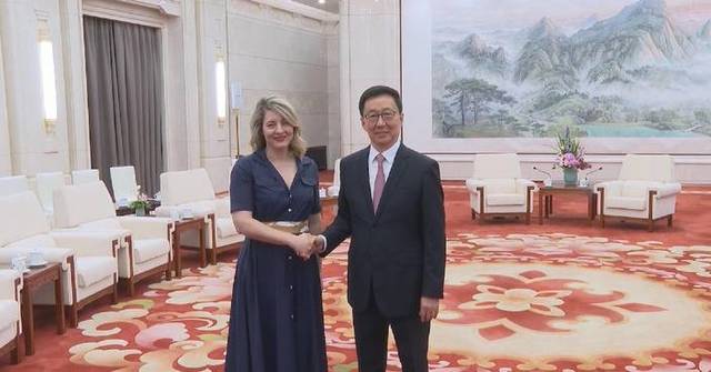 Chinese vice president meets Canadian delegation of entrepreneurs