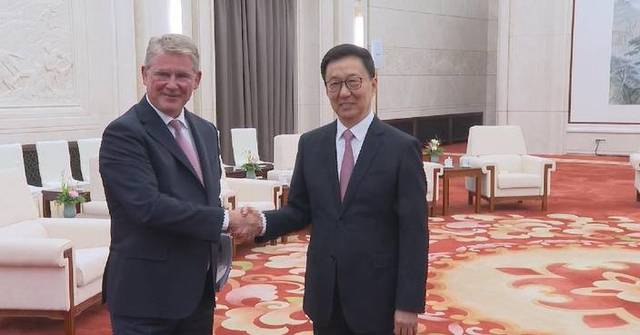 Chinese vice president meets chair of Novo Nordisk Foundation