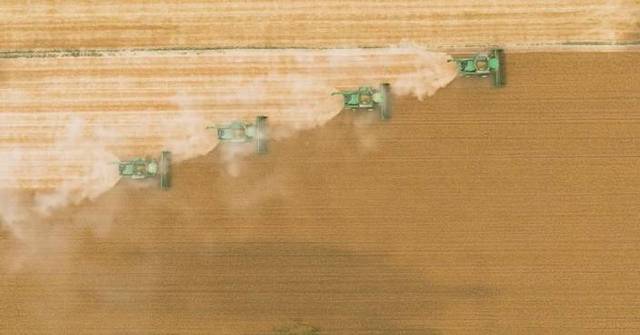 China's summer wheat harvest nears completion