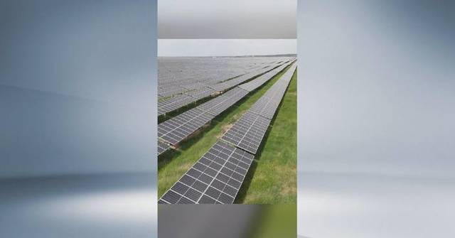 "Great Wall" of solar panels protects ecology on desert edge in Shaanxi
