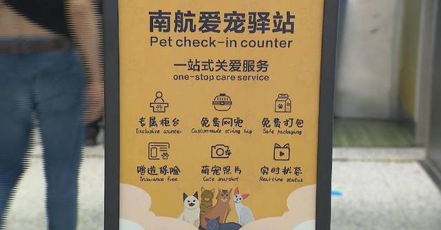 Chinese airlines expand cabin access for pets as demand for pet-friendly travel grows