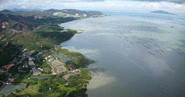 Government Launches Public Engagement for Coastal Protection Park Feasibility Study in Tsim Bei Tsui Area
