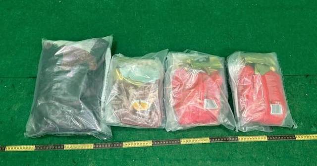 Hong Kong Customs Seizes 11kg of Drugs, Two Men Arrested at Airport
