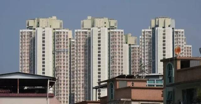 Housing Authority Approves Significant Increase in Public Rental Housing Allocations for 2026-27