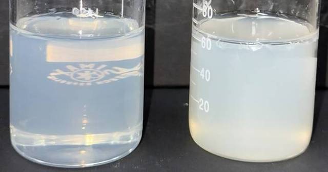 Shinsung Materials Strengthens Global Presence with High-Performance Personal Care Ingredients