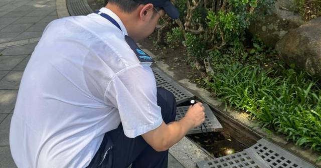 FEHD Releases July Gravidtrap and Density Indexes for Aedes Albopictus Across 25 Survey Areas