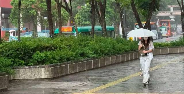 Labour Department Urges Safety Measures Amid Rainstorm Warning for Electrical Work