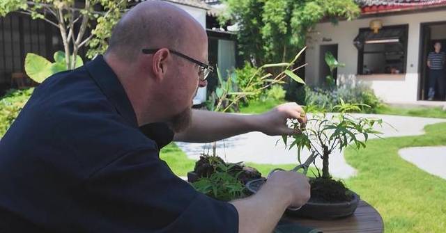 Canadian artist's bonsai studio sparks new growth in Sichuan's rural industries