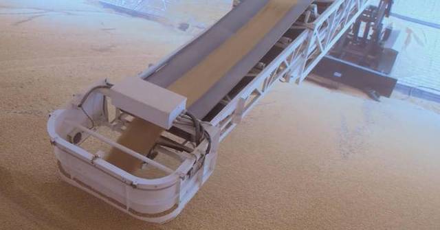 China ready for autumn grain procurement as summer purchase draws to close