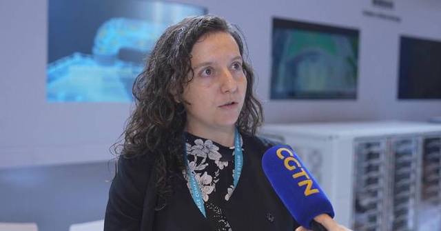 International experts call for closer cooperation on energy storage