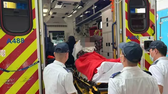 女花王遭掉下樹枝擊中頭頂受傷,送院敷治。