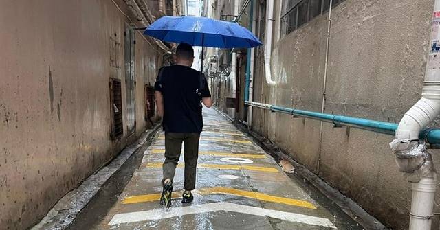 小犬襲港| 當局收44宗塌樹及7宗水浸個案