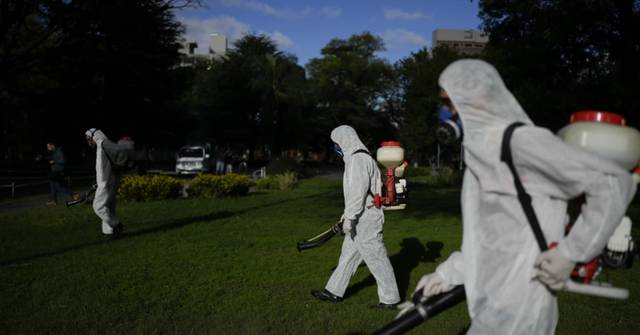 Dengue Fever Outbreak in the Americas: Over 3.5 Million Cases Reported