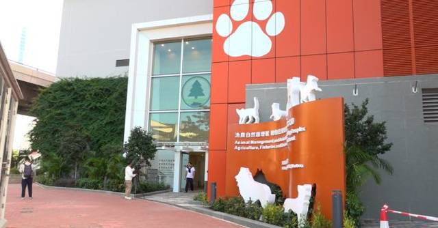 漁護署動物檢疫設施增加 內地進口貓狗檢疫輪候時間縮短