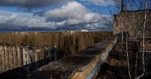 [生態共鳴] 切爾諾貝爾禁區成野生動物天堂 輻射地貌見證自然生命力