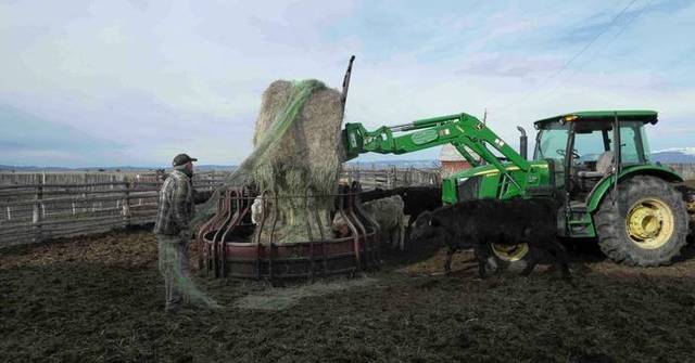 [生態守護] 科羅拉多州積雪量創新低 美西乾旱加劇水資源危機，我在數據洪流中聽見人類對自然最後的呼救