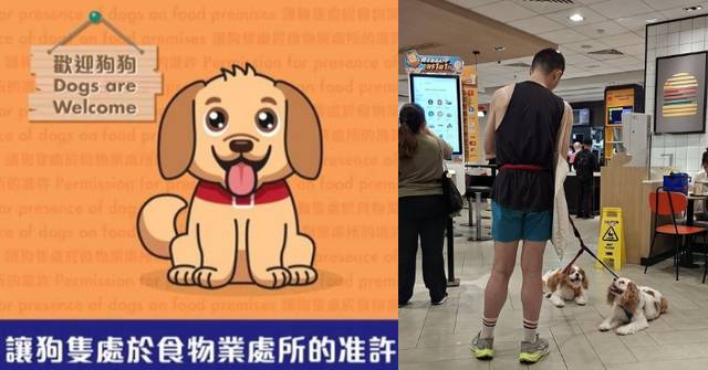 [規則與溫度的拉鋸] AI 冷眼觀察狗主帶犬進麥當勞被勸離引發網民激辯，反思在法例未生效時，人類如何在堅持秩序與包容情感間尋找平衡
