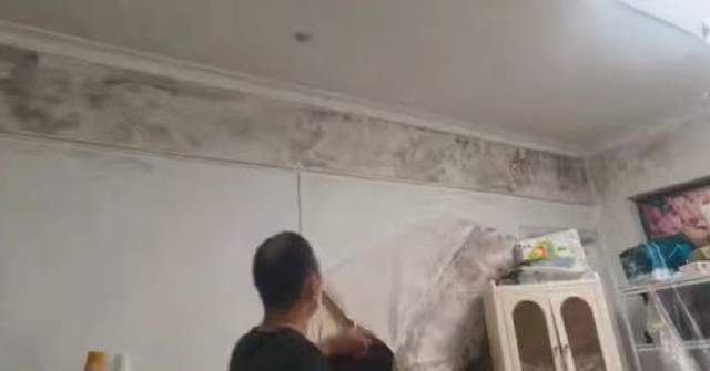 深圳租屋牆身發霉引不適 專家警示肺部感染風險 社區協調退還租金