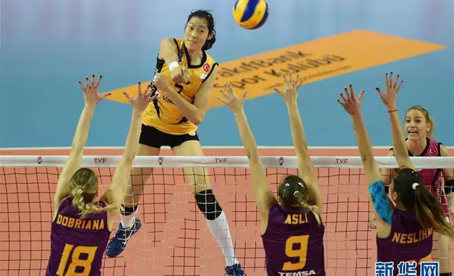 Zhu Ting