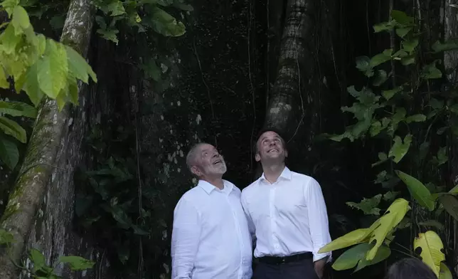 Brazil's President Luiz Inacio Lula da Silva, left, and French President Emmanuel Macron, look up at a canopy of trees after arriving on Combu Island, near Belem, Para state, Brazil, Tuesday, March 26, 2024. Macron is on a three-day official visit to Brazil. (AP Photo/Eraldo Peres)